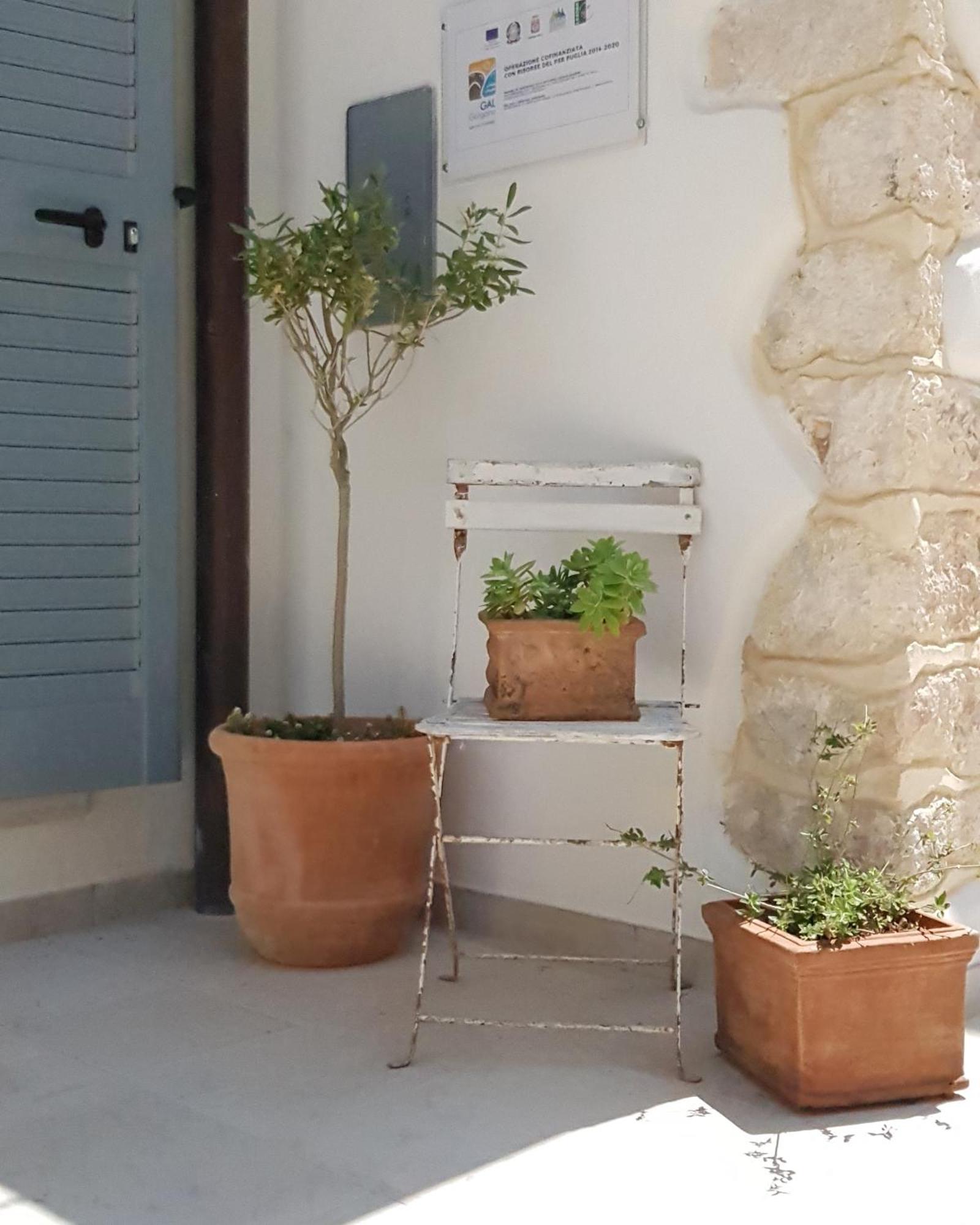 Gargara Bed And Breakfast Vico Del Gargano Bagian luar foto